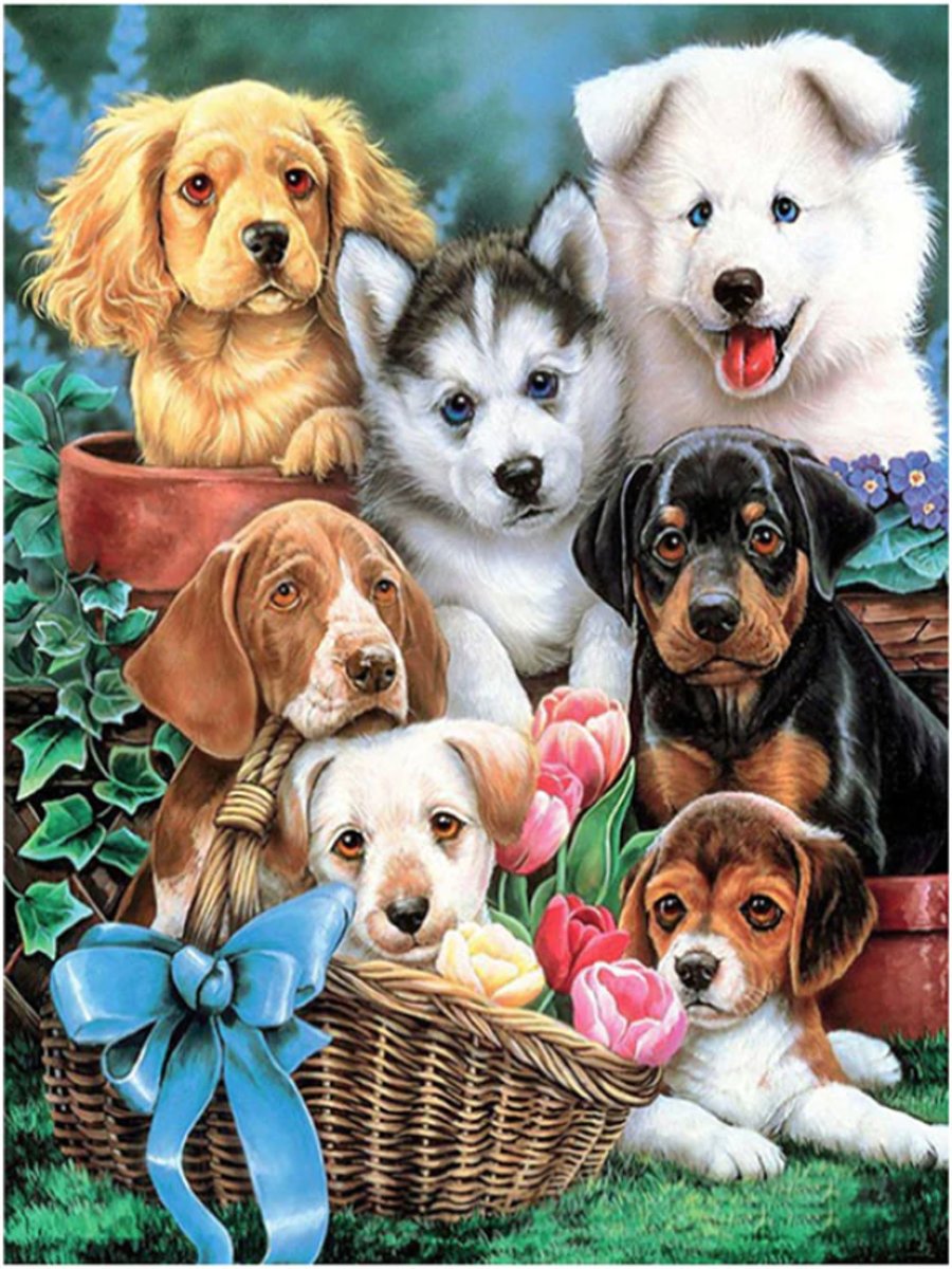 Dogs Diamond Painting | Pups | Verschillende honden diamond painting | 40x50CM | Diamond | Inclusief wand